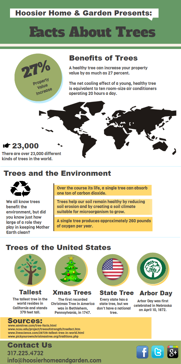 Facts About Trees