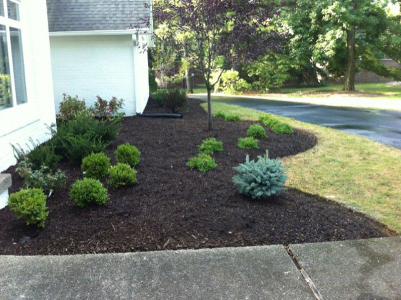 Landscaping Indianapolis - Lawn Service Indy - Landscape Designs