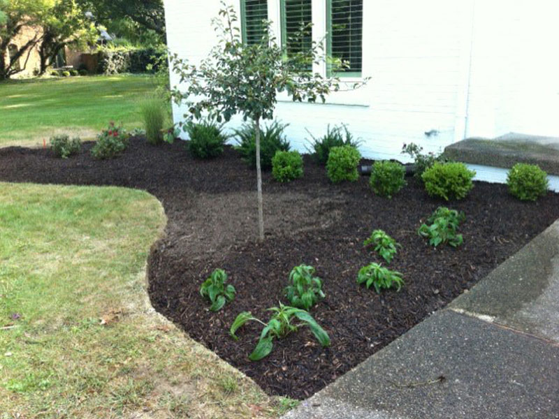 Landscaping in Indianapolis