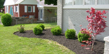 Indianapolis Landscaping